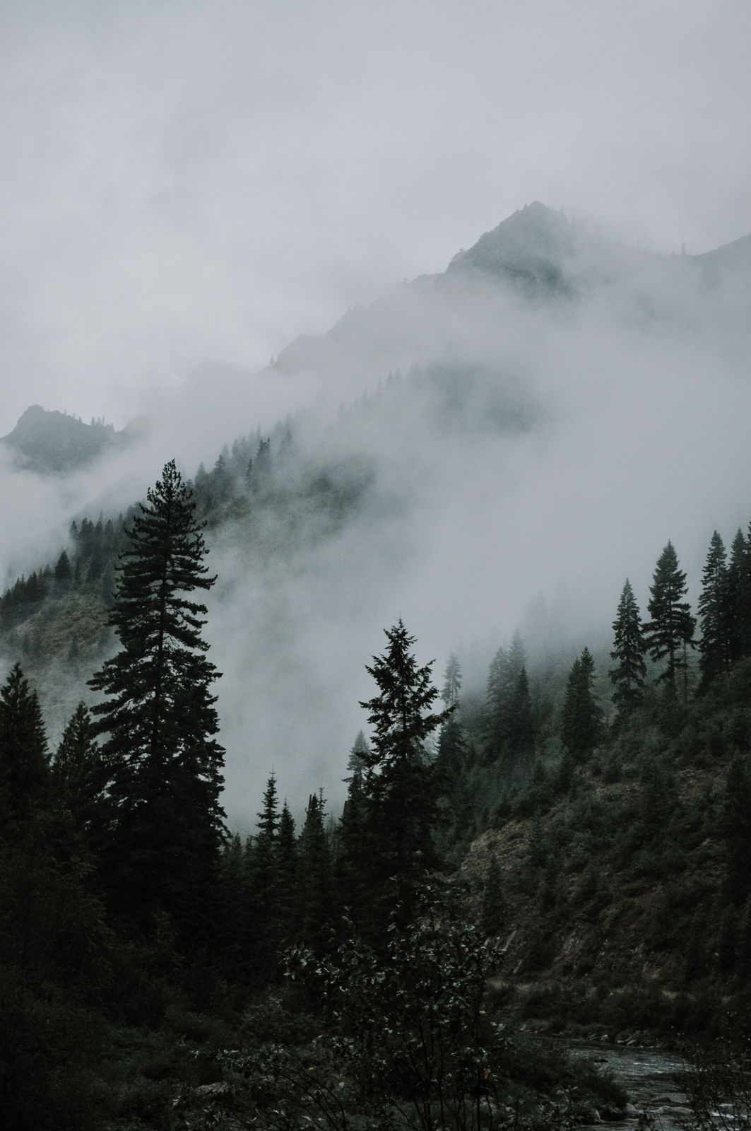 Fog moving through a forested mountain valley